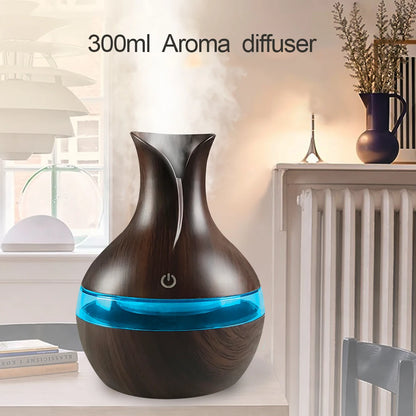 Mini Diffuser Air Humidifier with night light