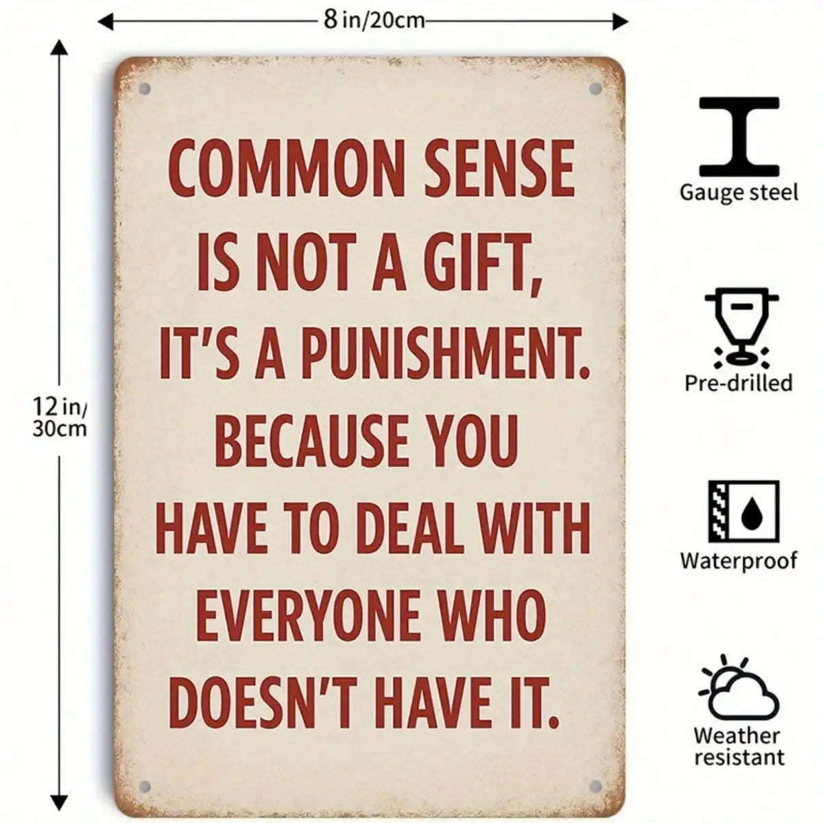 Tin Sign Common Sense Is Not A Gift.
